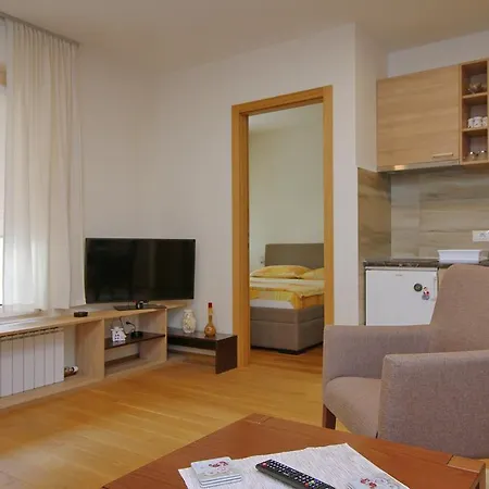 Lux Lazarevic Apartment Zlatibor